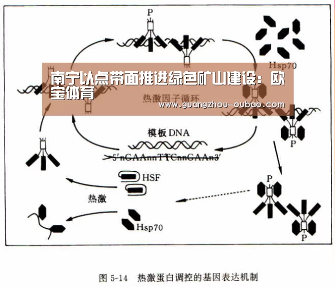 欧宝体育